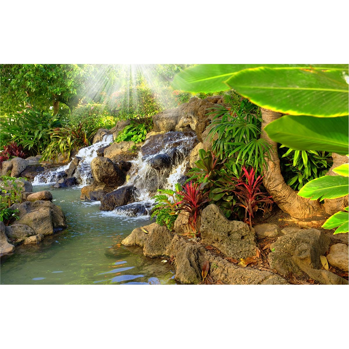 Fototapet Cascada in natura 1