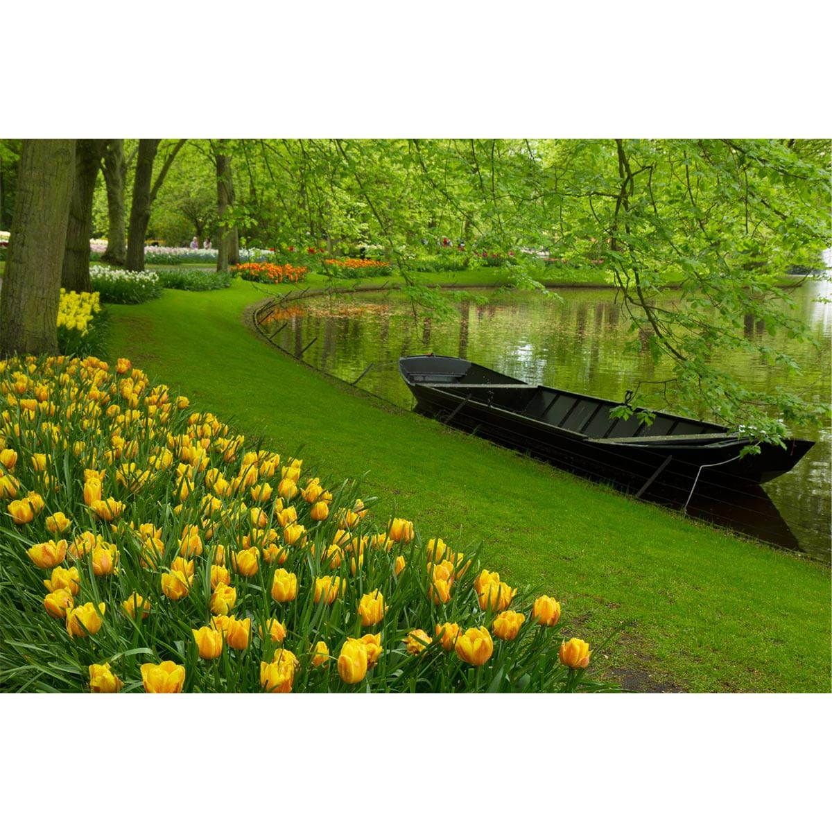 Fototapet Gradina Verde 1
