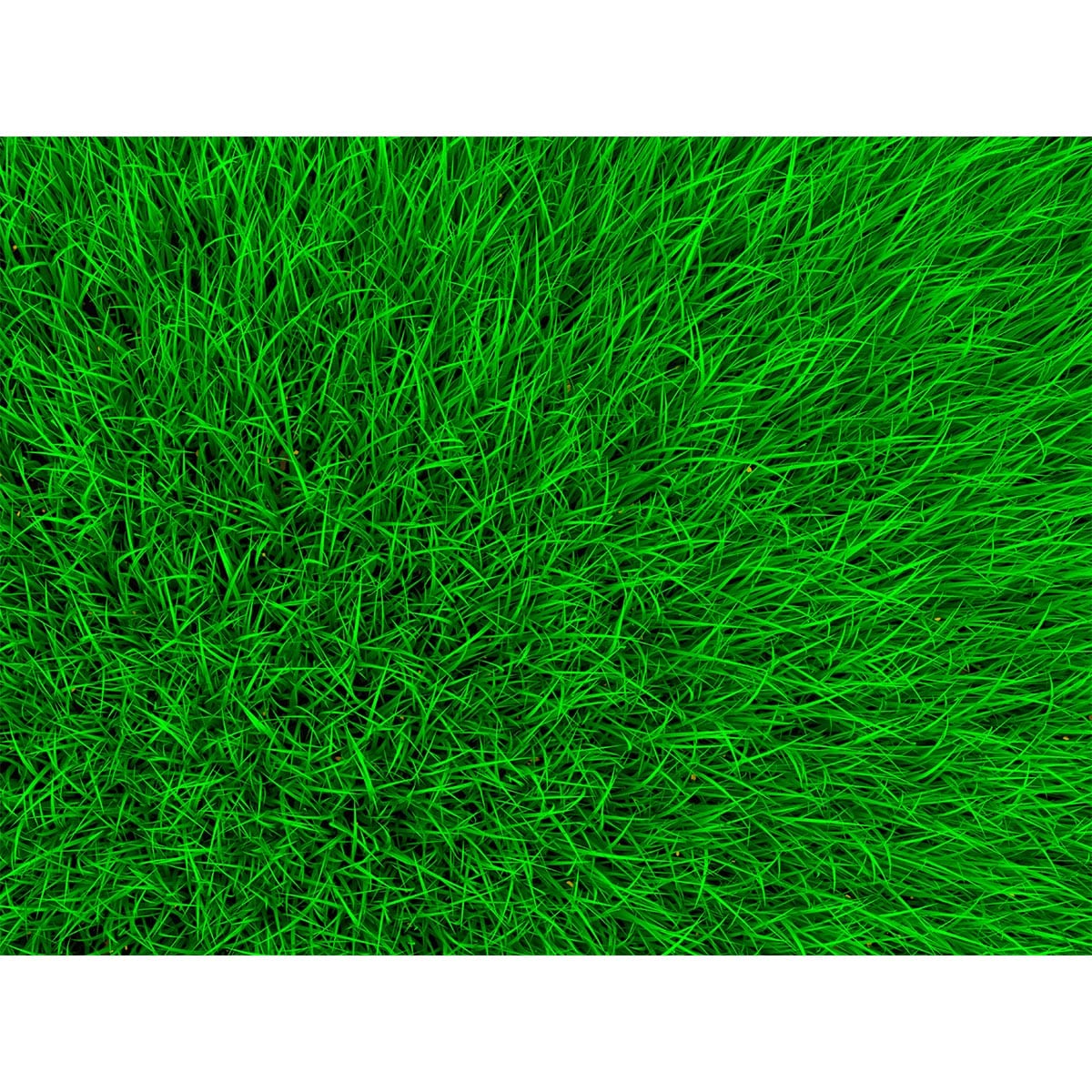 Fototapet podea Iarba verde 1