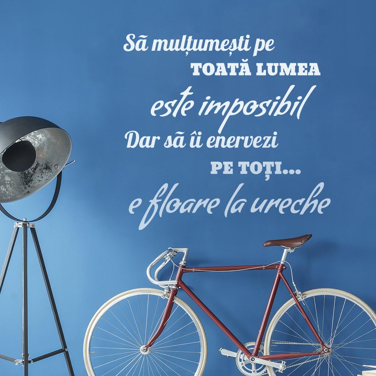Sticker perete Amuzant 1