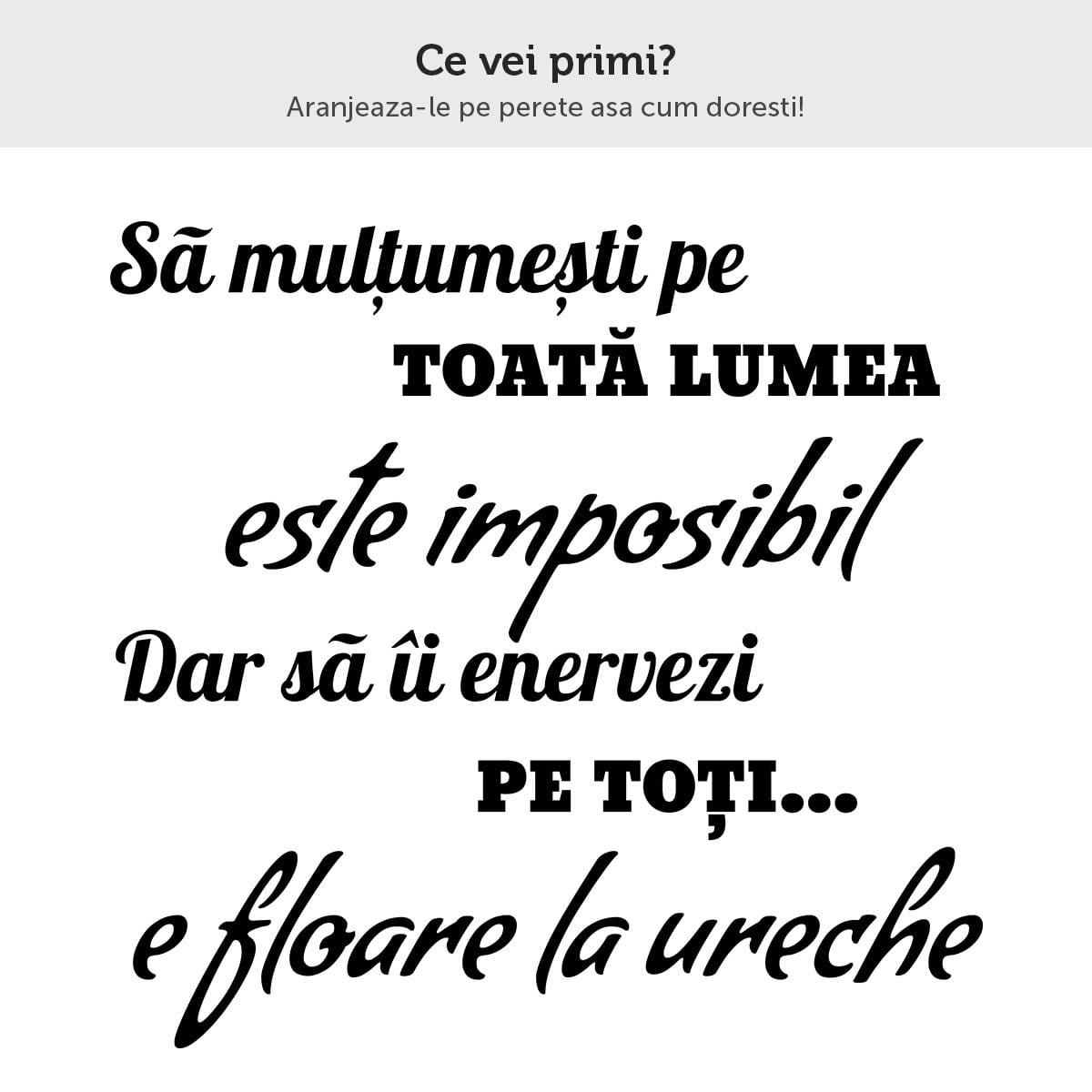 Sticker perete Amuzant 1