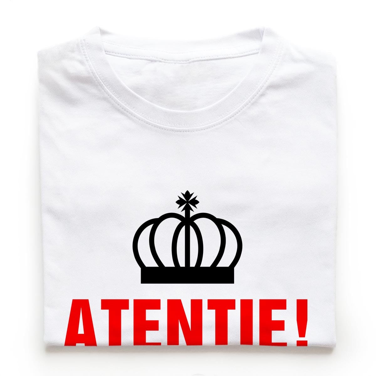 Tricouri petrecerea burlacilor - Atentie1