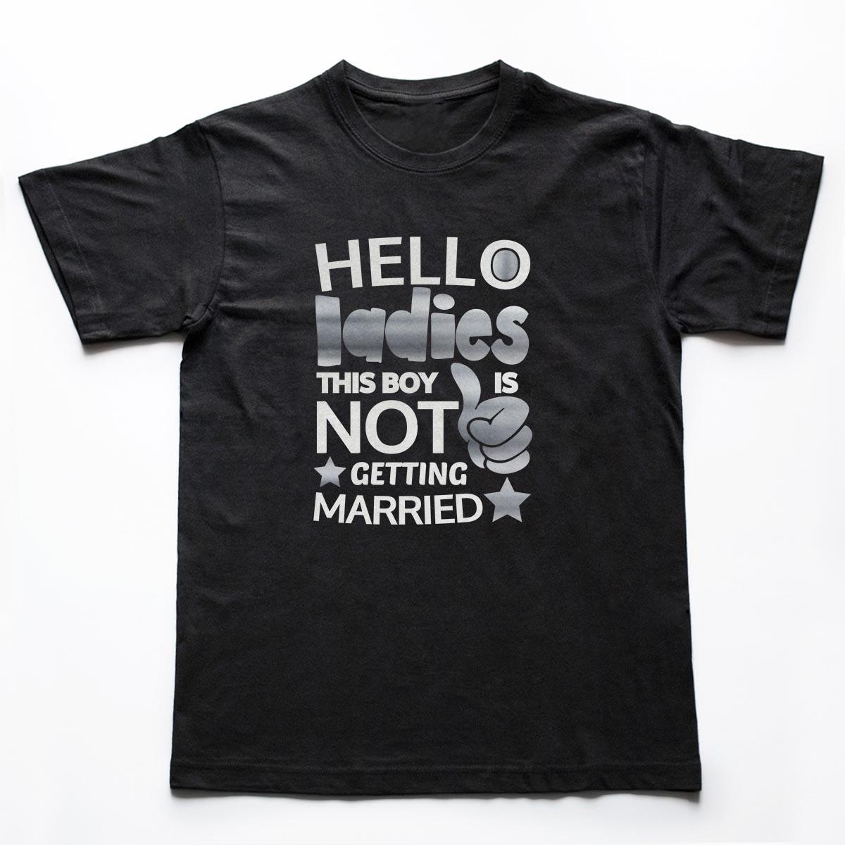 Tricouri petrecerea burlacilor - Hello ladies 1