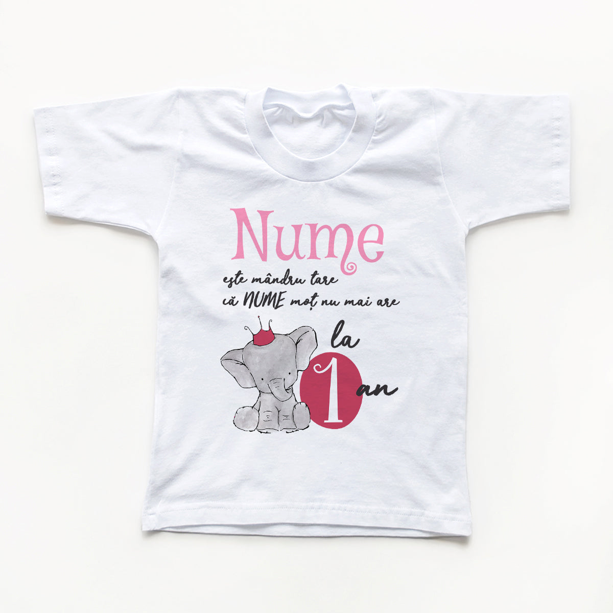 Tricouri aniversare Cu Mot fetita si frate 4