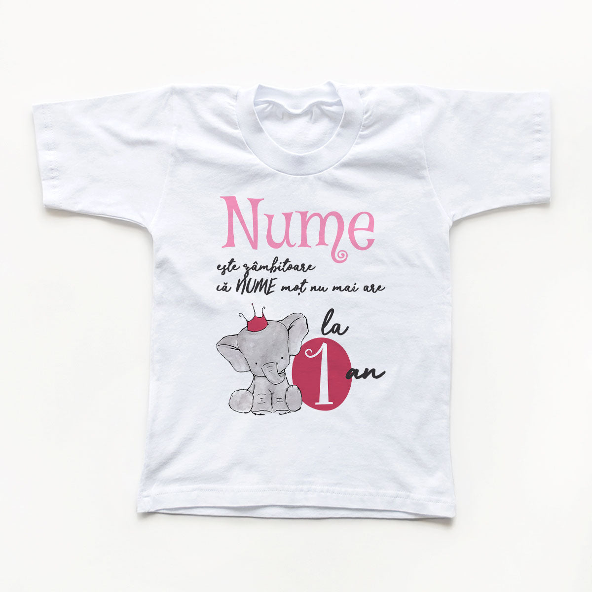 Tricouri aniversare Cu Mot fetita si sora 4