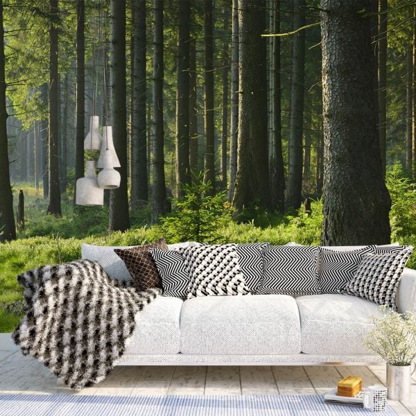 Fototapet Plimbare in natura