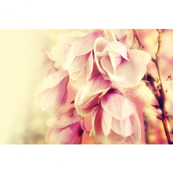 Fototapet Puritatea Verii